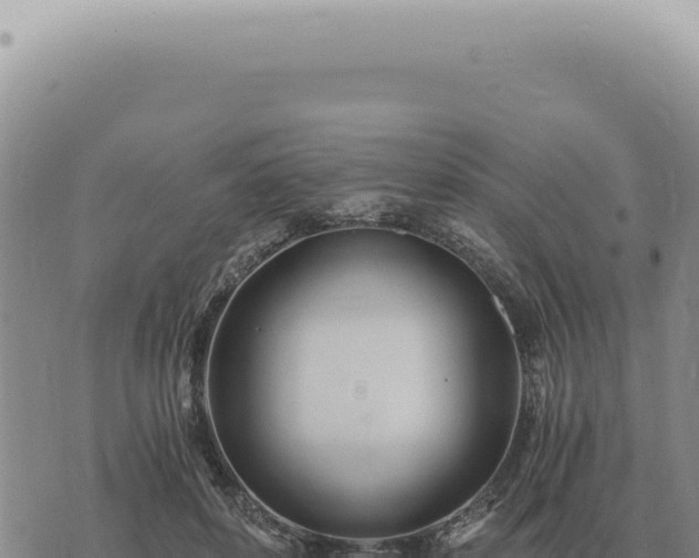 X0000073720504200608101907