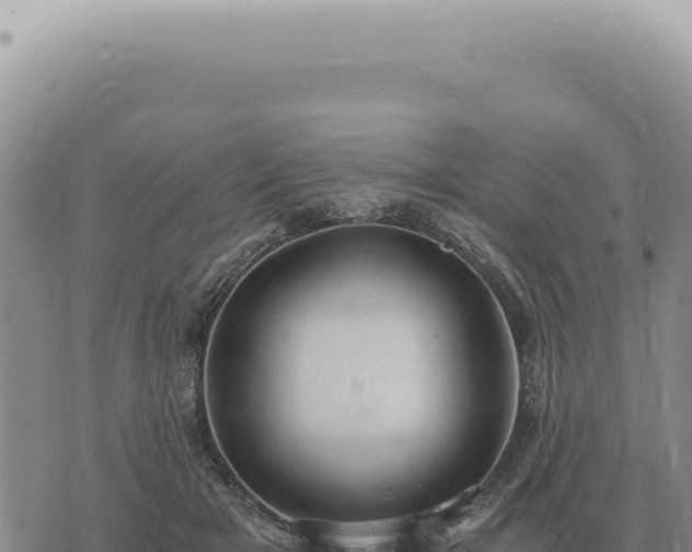 X0000073720505200608101907