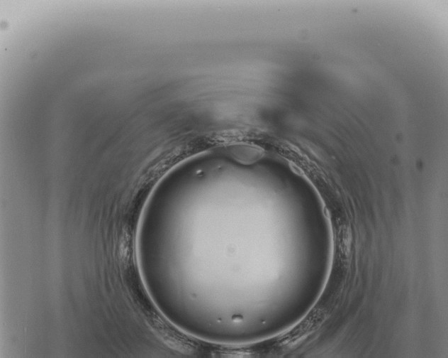 X0000073720507200608101907