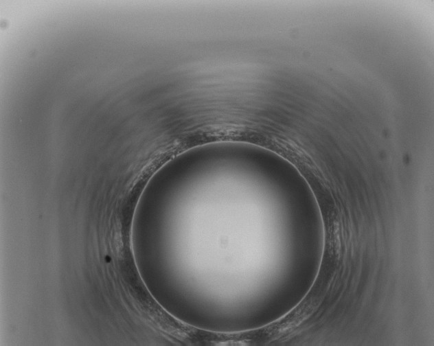 X0000073720508200608101907