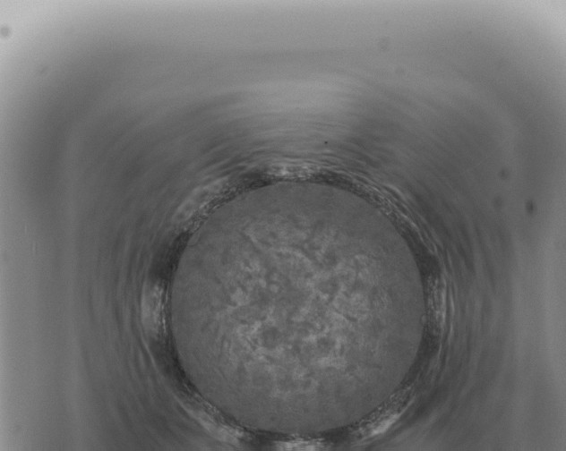 X0000073720511200608101907