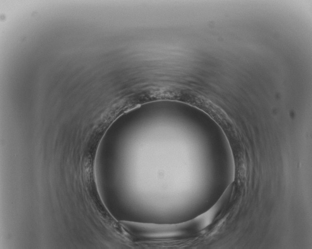 X0000073720513200608101907