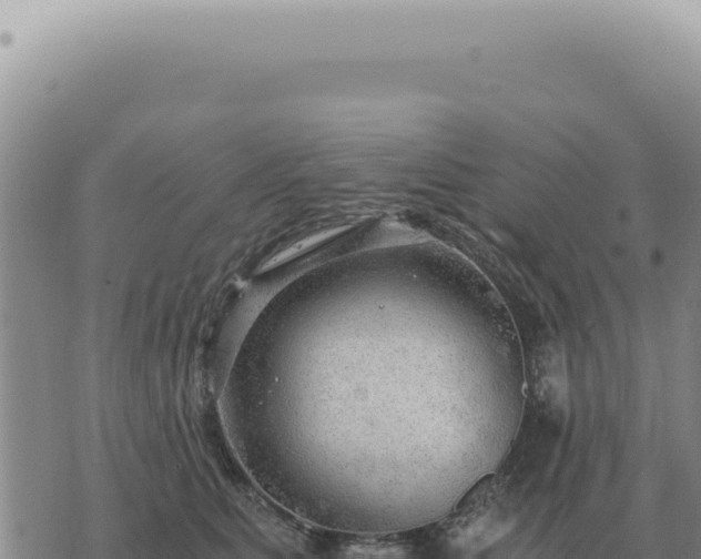 X0000073720515200608101907