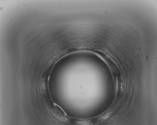 X0000073720516200608101907