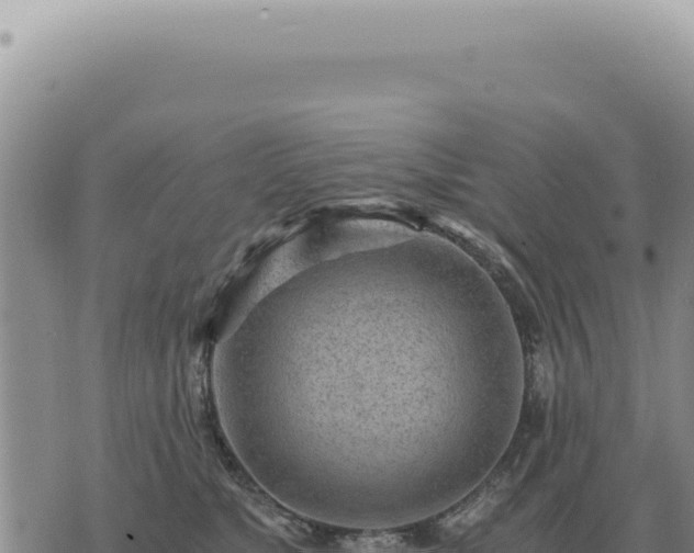 X0000073720517200608101907