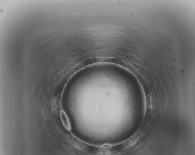 X0000073720519200608101907