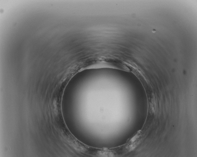 X0000073720520200608101907