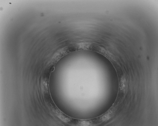 X0000073720522200608101907