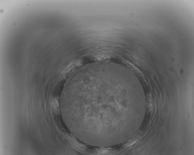 X0000073720523200608101907