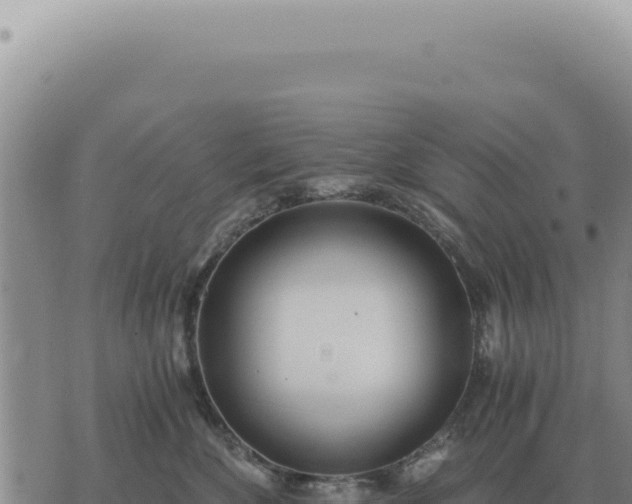 X0000073720524200608101907