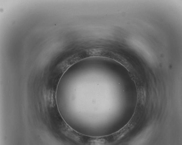 X0000073720525200608101907