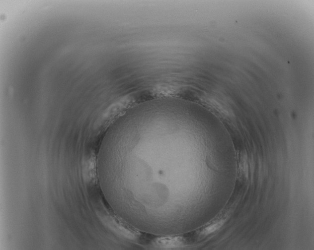 X0000073720526200608101907