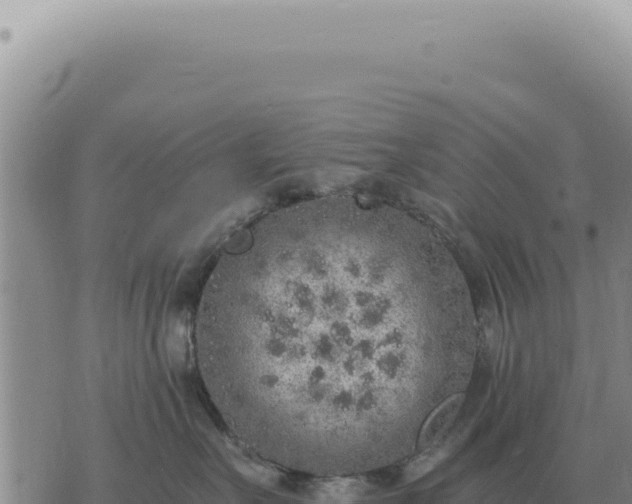 X0000073720527200608101907