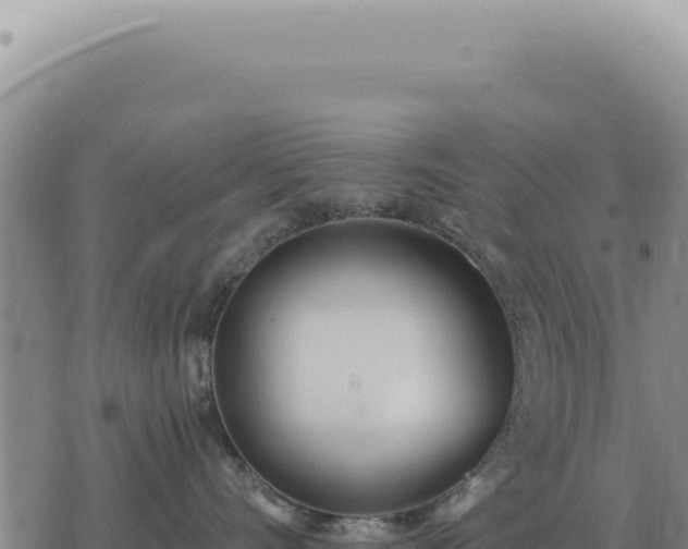 X0000073720528200608101907