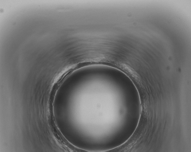 X0000073720532200608101906