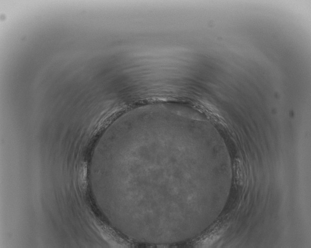 X0000073720550200608101906