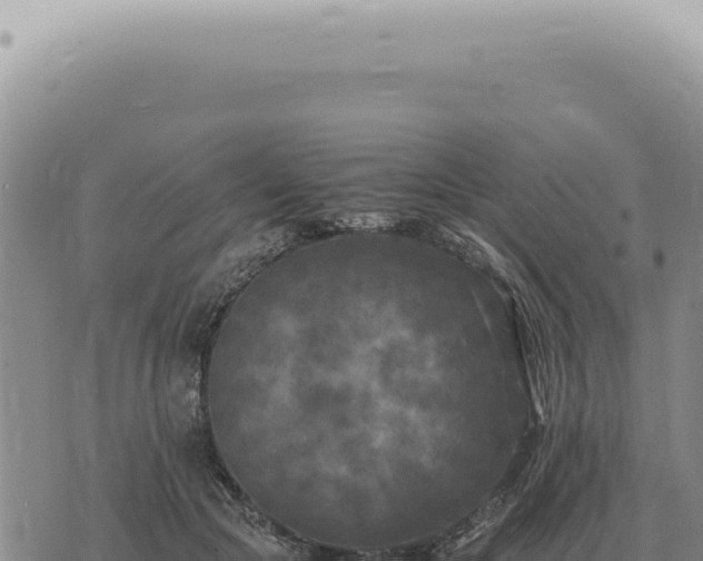 X0000073720553200608101906