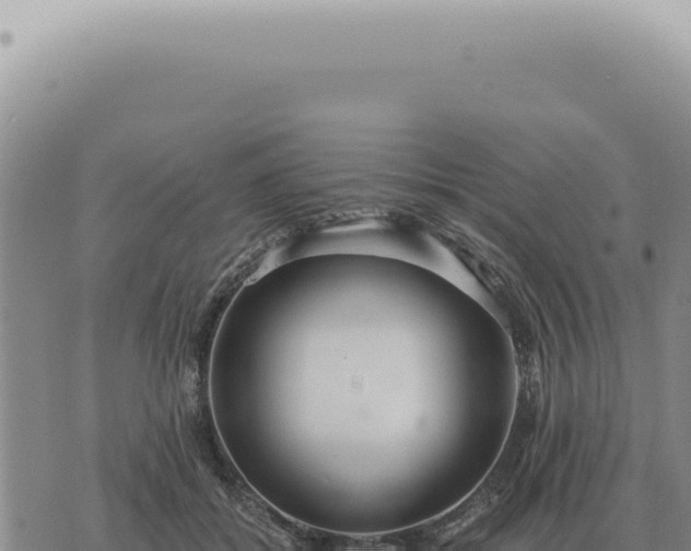 X0000073720556200608101907