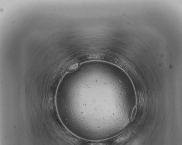 X0000073720557200608101907