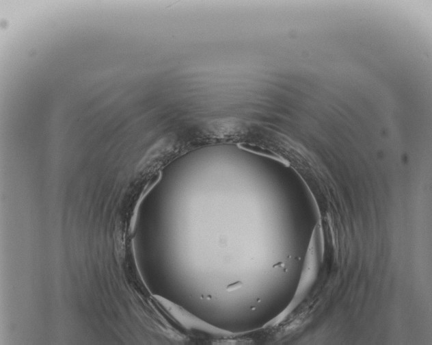 X0000073720558200608101907