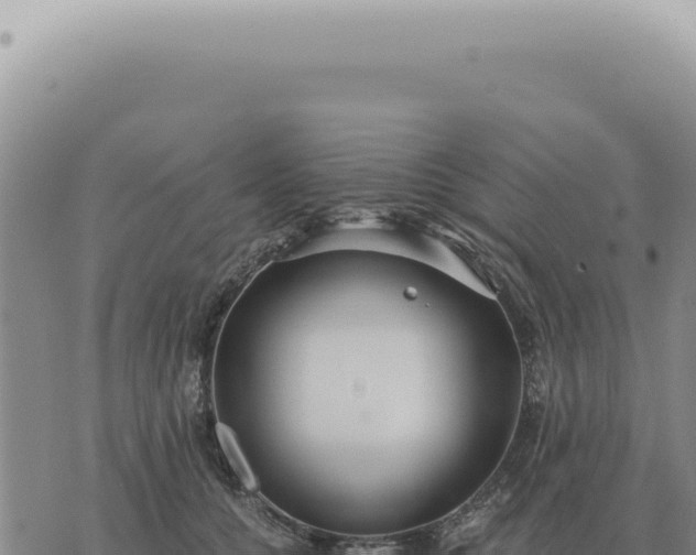 X0000073720560200608101907