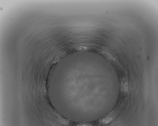 X0000073720561200608101907