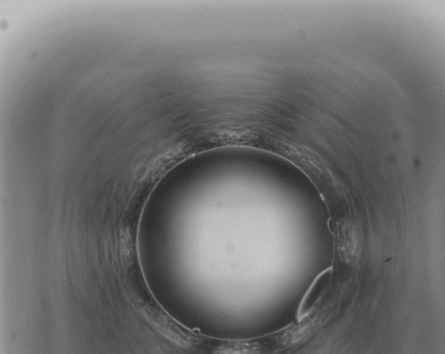 X0000073720563200608101907