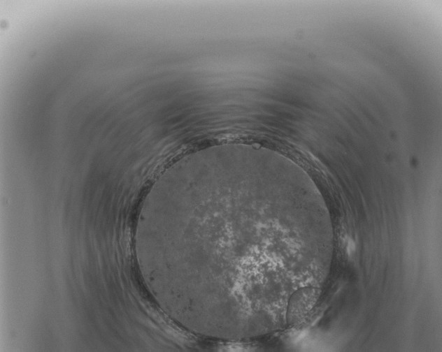 X0000073720565200608101907