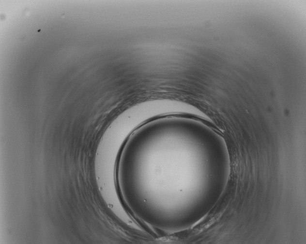 X0000073720566200608101907