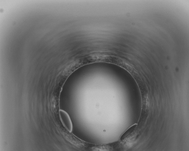 X0000073720567200608101907