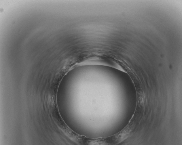 X0000073720568200608101907