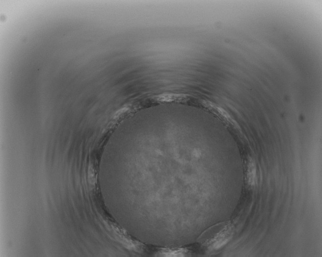 X0000073720569200608101907