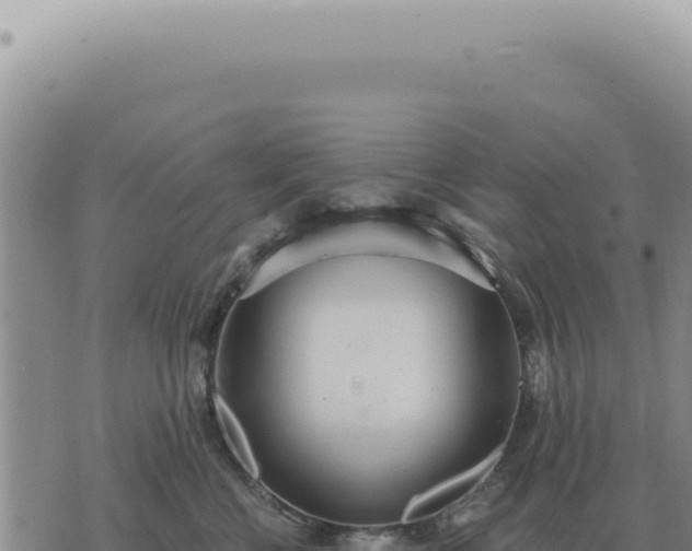 X0000073720570200608101907