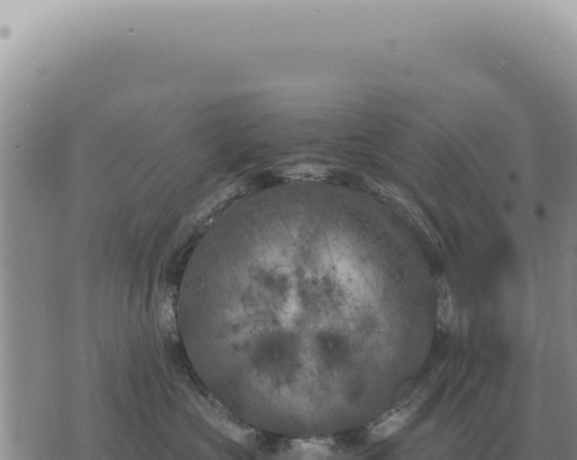 X0000073720573200608101907