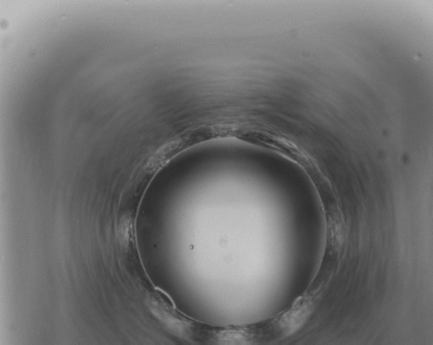 X0000073720574200608101907