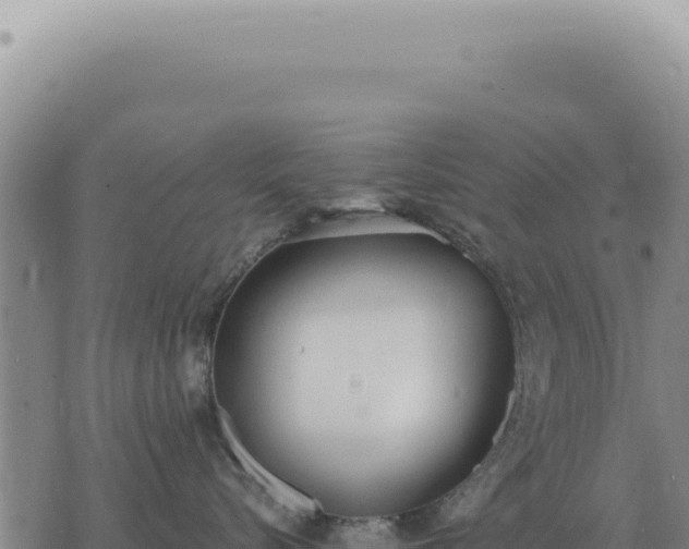 X0000073720576200608101907