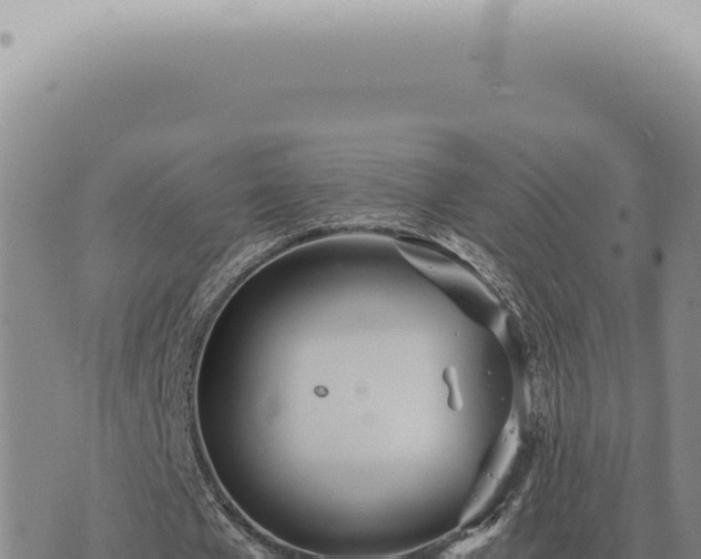 X0000073720577200608101906