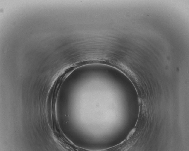 X0000073720580200608101906