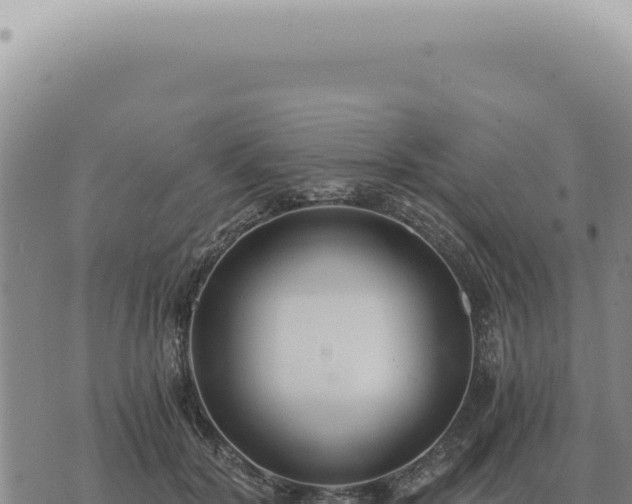 X0000073720604200608101906