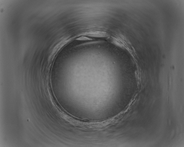 X0000073720001200608171215