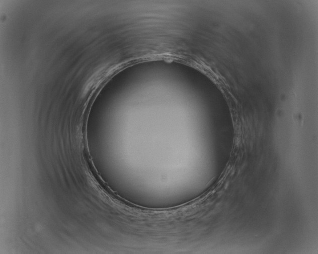 X0000073720002200608171215