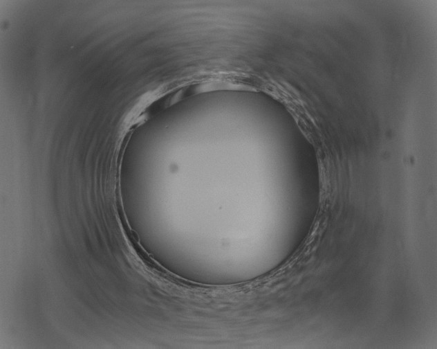 X0000073720003200608171215