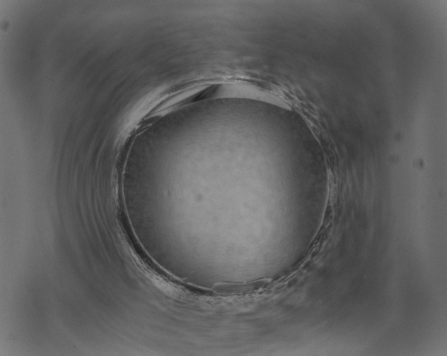 X0000073720005200608171215