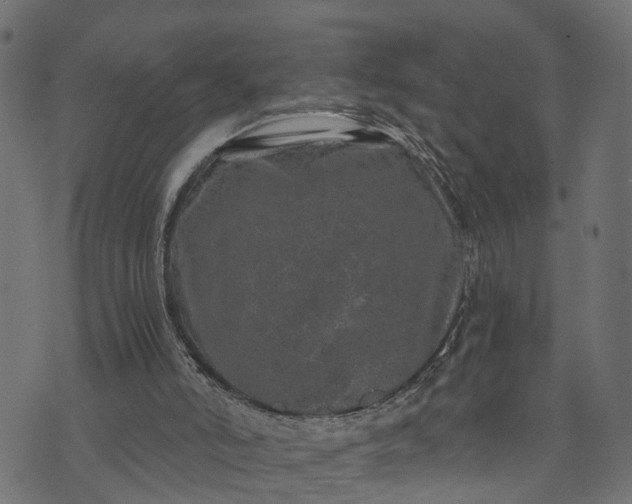 X0000073720006200608171215