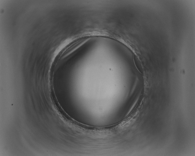 X0000073720008200608171215