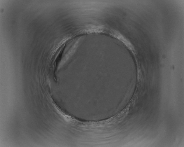 X0000073720009200608171215