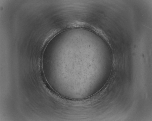 X0000073720010200608171215