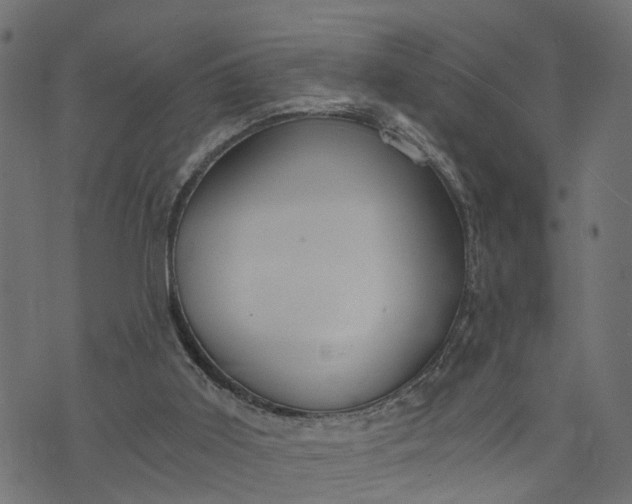 X0000073720011200608171215