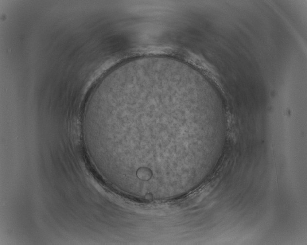 X0000073720012200608171215