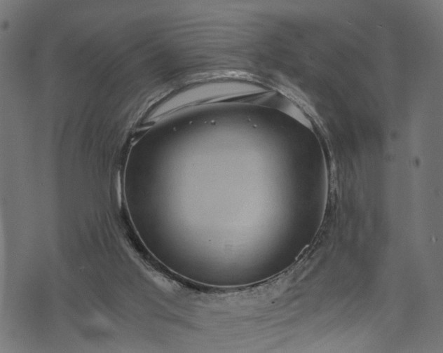 X0000073720013200608171215